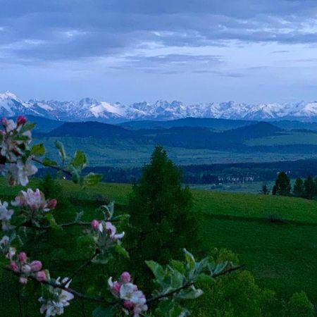 Koza U Woza Wypocznij W Gorach W Rytmie Slow Drewniany Dom Premium Z Widokiem Na Panorame Tatr Ecospa Strefa Fitness Zielona Farma Warsztaty (Adults Only) Szlembark Екстериор снимка