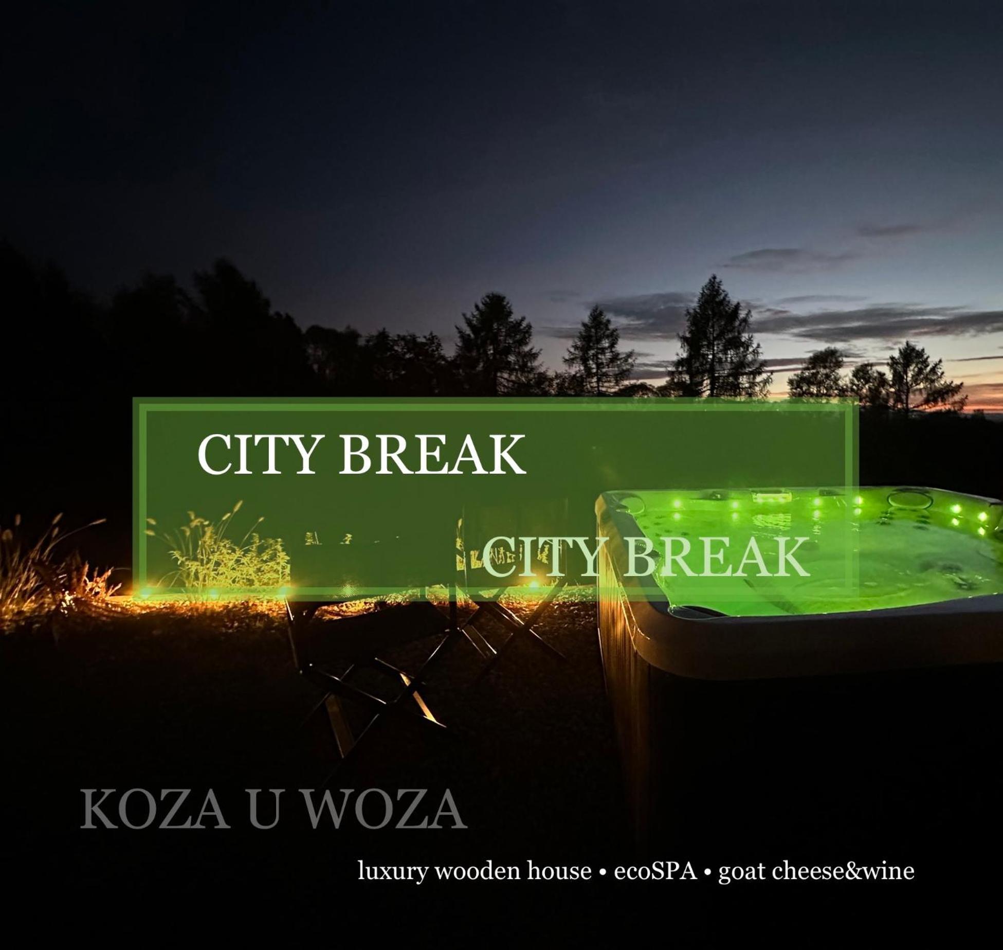Koza U Woza Wypocznij W Gorach W Rytmie Slow Drewniany Dom Premium Z Widokiem Na Panorame Tatr Ecospa Strefa Fitness Zielona Farma Warsztaty (Adults Only) Szlembark Екстериор снимка