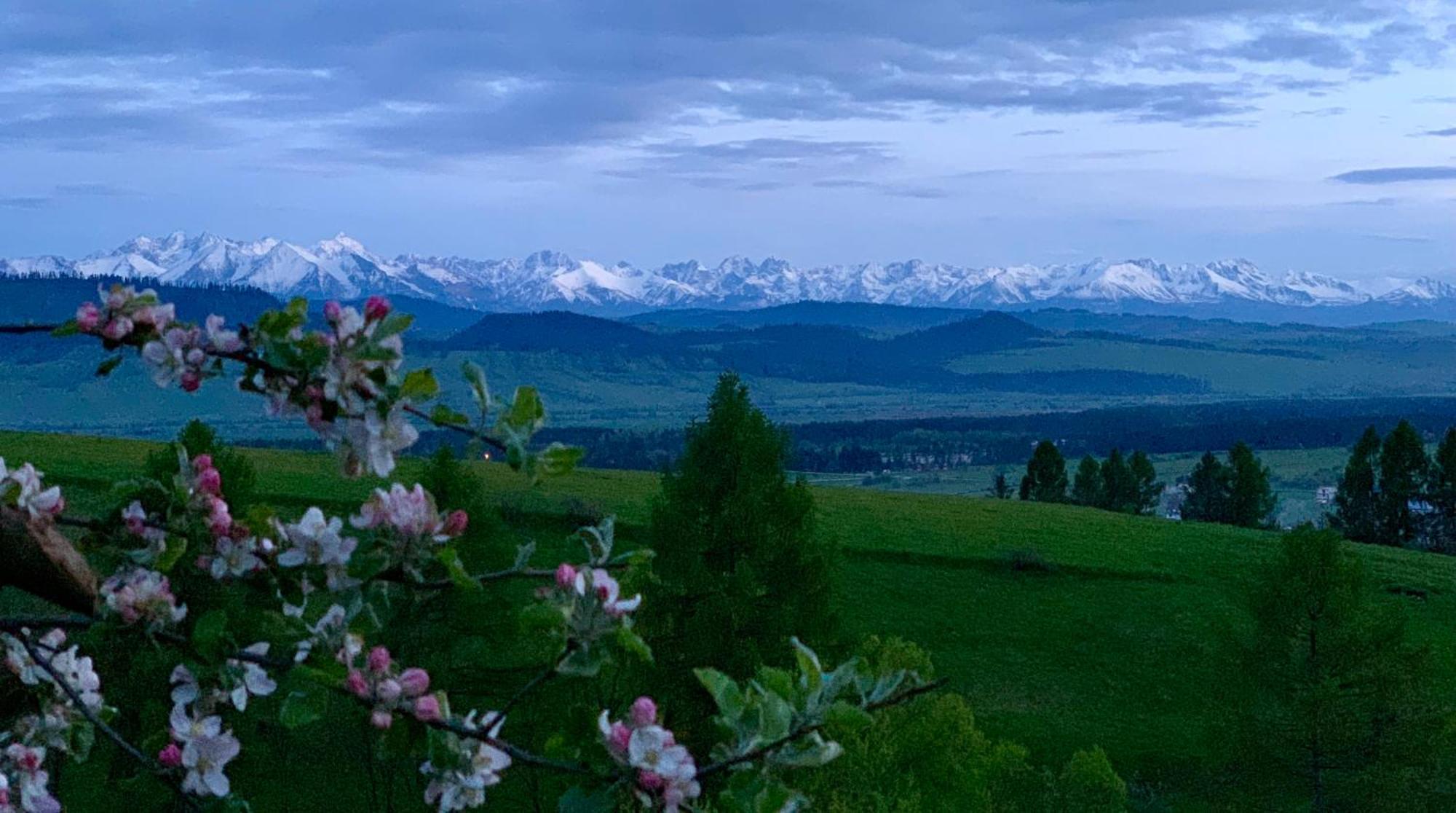 Koza U Woza Wypocznij W Gorach W Rytmie Slow Drewniany Dom Premium Z Widokiem Na Panorame Tatr Ecospa Strefa Fitness Zielona Farma Warsztaty (Adults Only) Szlembark Екстериор снимка